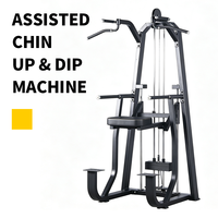 Machine Commerciale Multifonctionnelle d'Entraînement en Salle de Sport pour Tractions et Dips, Équipement pour Exercices du Dos, des Triceps et de la Poitrine, Direct Usine, Certifié CE