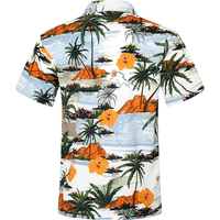Chemises boutonnées hawaïennes Aloha pour hommes pour la fête de camp de plage d'été à manches courtes avec impression personnalisée OEM
