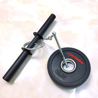 Rodillo de Muñeca DZH DWR001 de Hierro, 39CM, Duradero, 0.7KG, Entrenador de Antebrazo, Blaster para Entrenamiento de Lucha de Brazos