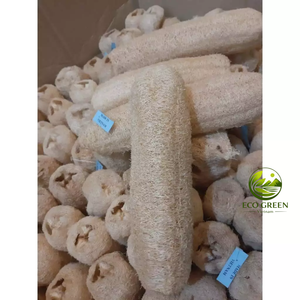 Jarrones de Cerámica con Esponja Natural de Lufa de Vietnam, Ecológicos, Forma Natural, Crudos, para Decoración del Hogar, Tamaño Personalizable - Product Image 3