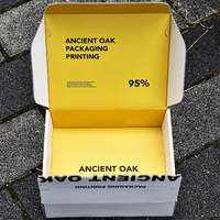 Boîte d'avion en papier ondulé personnalisée avec bande déchirable, fermeture à glissière, emballage postal express pour crème contour des yeux, doublure en éponge