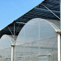 Serre multispan à bas prix pour légumes Serre agricole rentable de qualité supérieure Serre personnalisée à vendre