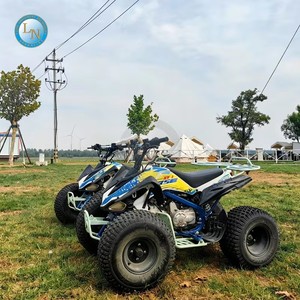 Quad Elettrico per Bambini 36V 1000W, Mini Buggy Fuoristrada a Quattro Ruote, Auto Elettrica per Bambini per Noleggio in Parchi Divertimento - Product Image 6