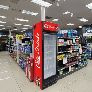 Réfrigérateur de présentation de boissons Pepsi 300L sur mesure pour usine, prix compétitif - Product Image 6