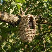 Nichoir ovale en herbe tressée pour oiseaux - Nid ovale pour oiseaux