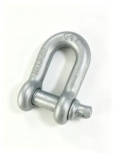 Manilles en câble <span class=keywords><strong>d</strong></span>'acier forgées de type <span class=keywords><strong>D</strong></span> avec écrous, haute résistance, pour levage et verrouillage, type US, pour applications marines et minières - Product Image 1