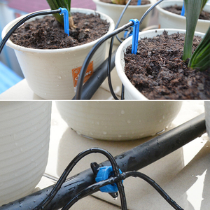 Système d'irrigation <span class=keywords><strong>araignée</strong></span> de jardin en plastique vert Bend Arrow Dripper Set pour l'arrosage et l'irrigation dans la serre Arroseur de jardin - Product Image 5