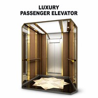 Ascenseur domestique pour villa, grenier, duplex, 2 à 4 étages, ascenseur MRL avec porte automatique