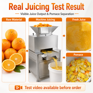 Presse-agrumes professionnel en acier inoxydable SUS304 <span class=keywords><strong>pour</strong></span> oranges et agrumes, avec presse-<span class=keywords><strong>citron</strong></span> et certification CE - Product Image 5