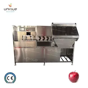 완전 자동 산업 과일 사과 배 kiwifruit 필링 및 코링 기계
