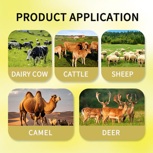 Hợp chất premix rumen-bảo vệ thức ăn phụ gia cho gia súc rumen bảo vệ thức ăn bò cừu thức ăn gia súc vitamin tăng trưởng động vật OEM/ODM - Product Image 4