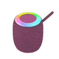 Nouveauté - Cadeau promotionnel - Mini haut-parleur Bluetooth 5W - Mini haut-parleurs portables avec basses puissantes