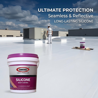 Vente en gros de peinture imperméable CABERRY, revêtement en silicone pour béton, revêtement de toiture
