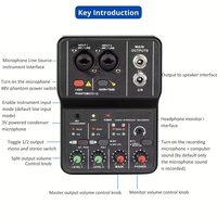 Tarjeta de Sonido Q12 2024, Mini Interfaz de Grabación, Mezclador de Audio Profesional de 16 bits/24 kHz para Grabación de Podcasts e Instrumentos Musicales