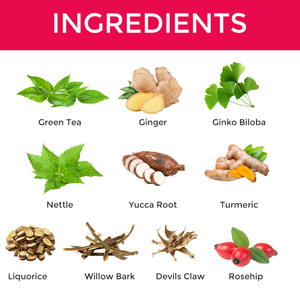 Yuca a base <span class=keywords><strong>de</strong></span> hierbas naturales personalizada, soporte para la fuerza <span class=keywords><strong>de</strong></span> los huesos, té para la salud - Product Image 2