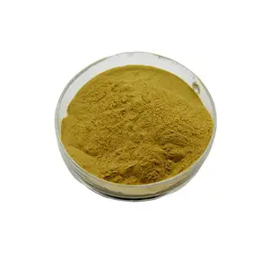 Fabriekslevering Bitter Sinaasappelextract Citrus Aurantium Extract Met Diosmine 5%-90%