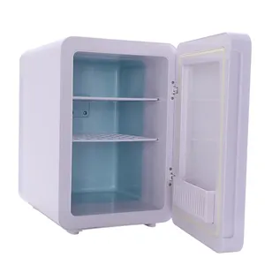 10 Litre 12v taşınabilir kozmetik cilt bakımı güzellik küçük akıllı buzdolabı ile LED ekran Mini buzdolabı