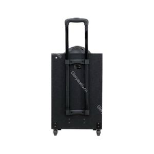 וופר תיאטרון ביתי נייד 12 אינץ 'עם סוללה מופעלים חומר עץ לשימוש בגלי קרקריוקי - Product Image 5