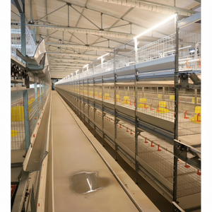 Nuevas Jaulas para Pollos Tipo H de Bajo Ruido, Reductoras de Estrés y Fáciles de Operar para Granjas Ecológicas Suburbanas - Product Image 1