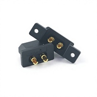 Connecteur à bride verrouillable Amass XT30G 15A, prise de panneau à 2 broches plaquée or pour avions modèles, OEM