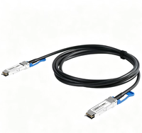 Kabel 400G QSFP-DD DAC ke 400G QSFP-DD untuk AI Data Center Spine Leaf Switch ke Server Uplink Koneksi Tembaga Pasif