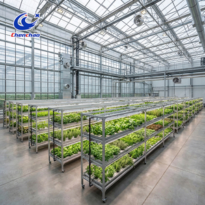 Commercial Grade Automated Ebb and Flow System with Vertical Multi-layer Design for Large Scale Greenhouse System <strong>Plan</strong> <strong>Pro</strong> - Product Image 2
