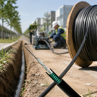 Câble à fibres optiques GYXTW-12B1.3 rempli de gel, résistant à l'eau, en vrac, pour projets de réseaux haut débit urbains (ODM)