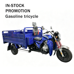 Promoción en stock: Motocicleta <span class=keywords><strong>de</strong></span> 250cc, 3 ruedas, gran capacidad <span class=keywords><strong>de</strong></span> subida, triciclo <span class=keywords><strong>de</strong></span> carga a gasolina para <span class=keywords><strong>transporte</strong></span> acuático en África - Product Image 1