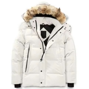 Chaqueta de Plumón de Invierno Personalizada de Alta Calidad para Hombre con Bolsillo, Brillante, Repelente al Agua, Talla Grande, Transpirable - Product Image 4