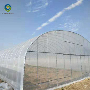 Invernadero de Túnel Agrícola a Buen Precio para Cultivo de Hongos - Product Image 4