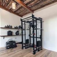 FOUX DLR10 Machine Smith multifonction en acier inoxydable avec rack à câbles croisés et pile de poids de 80 kg pour usage domestique et commercial
