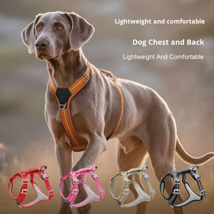 Pettorina per Cani in Nylon Resistente, Riflettente, con Chiusura a Doppia Fibbia, per Uso Esterno, Taglia Grande - Product Image 5