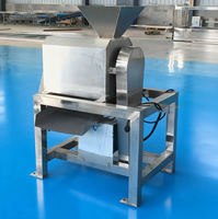 Automatische hoogproductieve fruit- en groentepulpmachine van roestvrij staal, 10kg/u, 380V, industriële sapcentrifuge voor commercieel gebruik