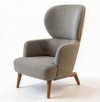 Fauteuil de salon moderne, durable, écologique, en tissu imperméable, avec dossier en forme d'aile