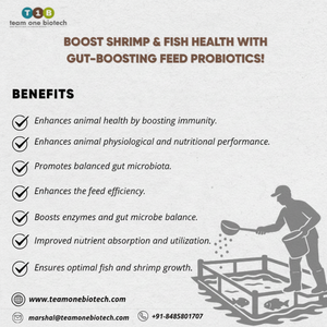 Complément alimentaire probiotique pour l'aquaculture - Product Image 1