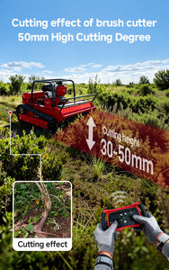 最も人気のある15馬力ディーゼルリモコンクローラーフレイルモアヘビーデューティートラック芝刈り機（CE EPA認証取得済み、輸出市場向け） - Product Image 3