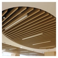 Paneles de Techo Modernos de Aluminio Resistentes al Fuego para Decoración de Interiores