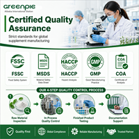 Greenpie OEM Thé Minceur Ventre Plat Brûleur de Graisse Détoxifiant pour Régime Kéto