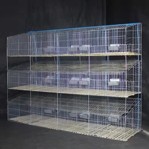 Dễ dàng làm sạch thỏ lồng trong Kenya trang trại với Nhựa Thỏ lồng khay - Product Image 5