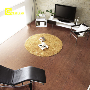 Somany Gạch Cửa Hàng Từ Gạch Nhà Máy-Phật Sơn Oceanland - Product Image 2