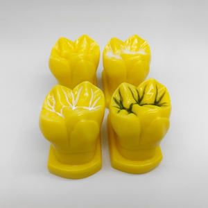 의사-환자 커뮤니케이션 및 병원 클리닉 교육을 위한 4 개의 구덩이 균열 폐쇄 프로세스 디스플레이 모델 세트 - Product Image 5