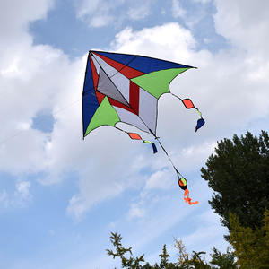 شركة مصنعة للبيع بالجملة توفر طائرة ورقية سهلة الطيران عالية الجودة للأطفال متعة رياضة الشاطئ طائرة ورقية كبيرة جميلة مخصصة كبيرة - Product Image 4