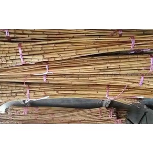 Best Selling CH GLOBAL High Quality Small-Scale Single Layer <b>Agricultural</b> <b>Greenhouses</b> Rattan Cane Material Furniture Natural - Product Image 5