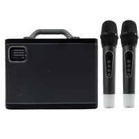 Haut-parleur Bluetooth extérieur portable facile à utiliser, prix de gros d'usine, 80 W, fonction anti-bruit, avec double microphone