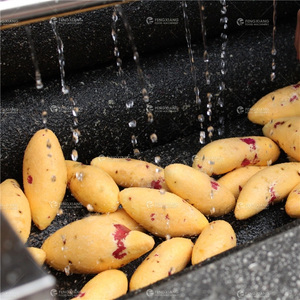 FengXiang MSTP-500 Machine à éplucher les légumes <span class=keywords><strong>automatique</strong></span> haute productivité pour l'ail, les pommes de terre, les carottes et les légumes racineux, avec fonction de lavage - Product Image 5