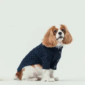 Qipet Pet tedarikçisi özel yeni tasarımcı köpek hırka kazak kral Charles spsphusky pet köpek forması için köpek giyim yavru