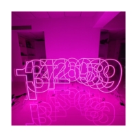 WinBo Livraison Gratuite Grandes Lettres et Chiffres LED 0-9 A-Z de 2, 3 et 4 pieds, Enseigne Néon RVB Lumineuse en Acrylique avec Design Personnalisé pour Fête