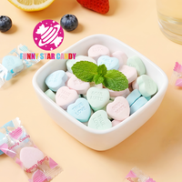 Bulk Hartvormige Munt Tafelbonbons Groothandel OEM Frisse Adem Verschillende Fruit Smaken Snoepjes Koele Munt Lieve Pers Tablet Snoep