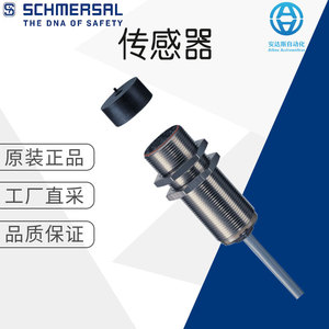 เซ็นเซอร์วัดกระแสไฟฟ้า SCHMERSAL รุ่น BNS30 สำหรับงานอุตสาหกรรม - Product Image 1