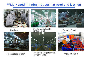Machine <span class=keywords><strong>de</strong></span> nettoyage <span class=keywords><strong>de</strong></span> légumes racines à haute efficacité pour fruits et légumes, laveuse commerciale <span class=keywords><strong>de</strong></span> racines <span class=keywords><strong>de</strong></span> gingembre et <span class=keywords><strong>de</strong></span> lotus - Product Image 6